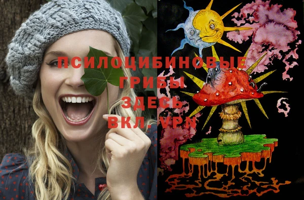 гидра Алексеевка
