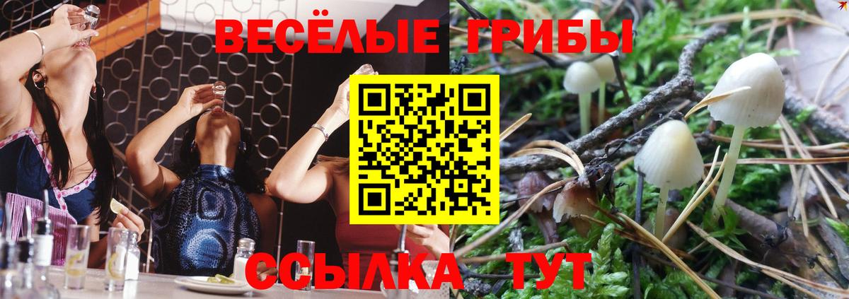 Псилоцибиновые грибы ЛСД Сургут